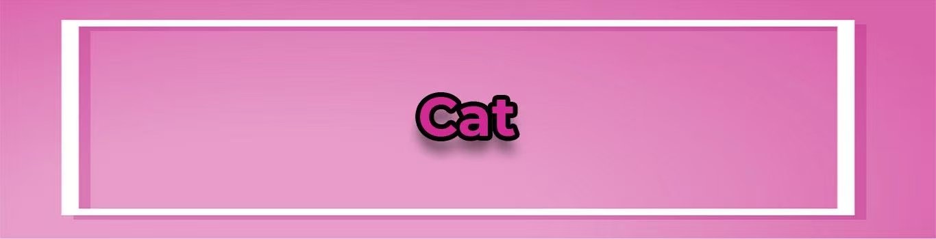 CAT baby girl 2001 is coming back