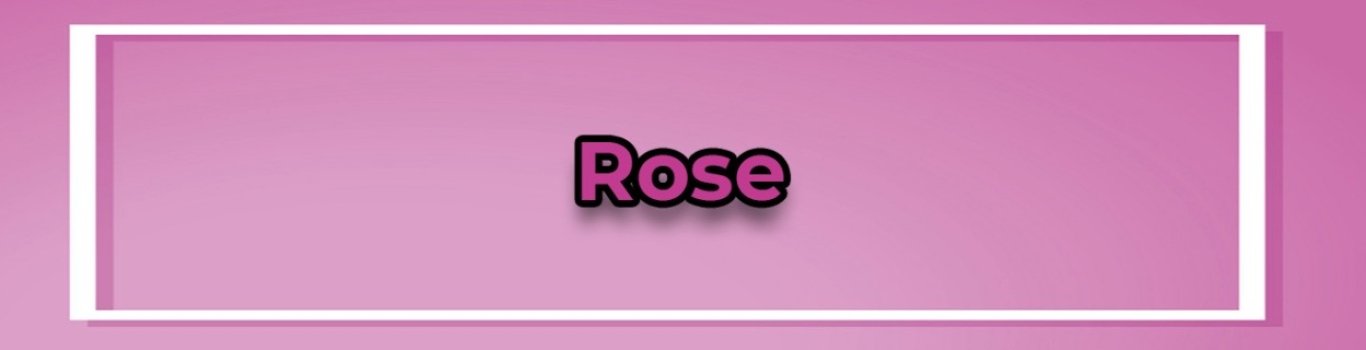ROSE 🌹 new flower from SINGAPORE 🇸🇬 touring 10 days only 
