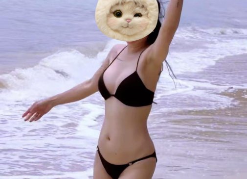 ROSE 🌹 new flower from SINGAPORE 🇸🇬 touring 10 days only 